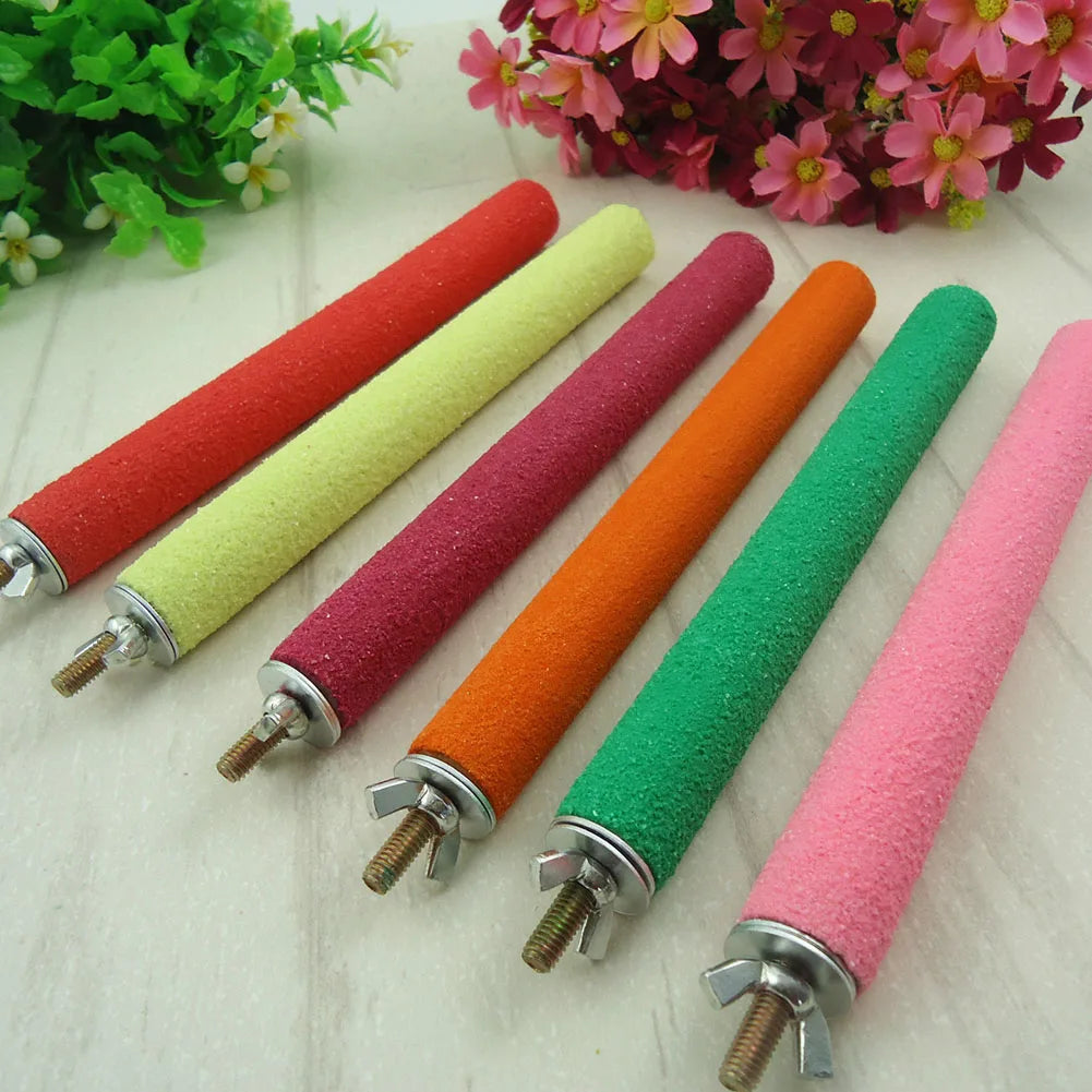 Bird Claw Beak Grinding Bar 1 piece of random color