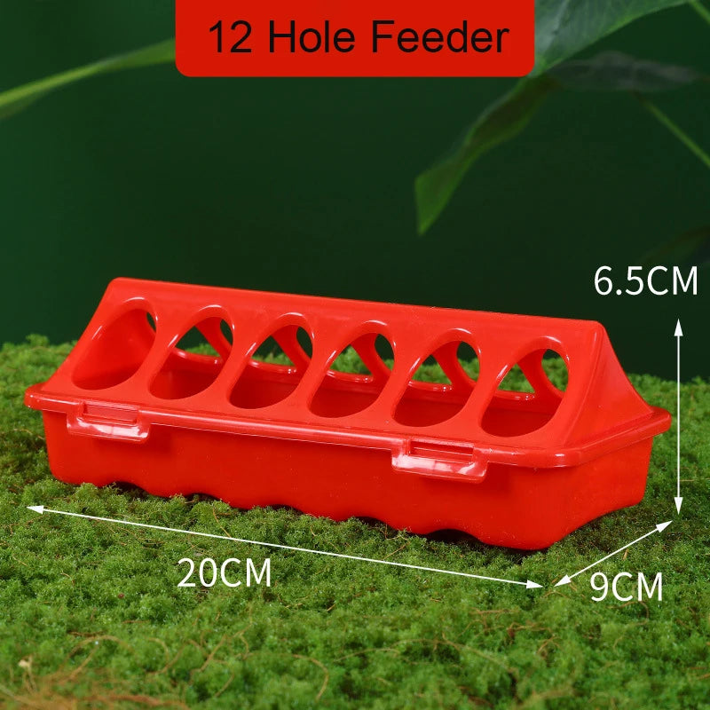 Poultry Pigeon Thickened Feeder and Water Dispense