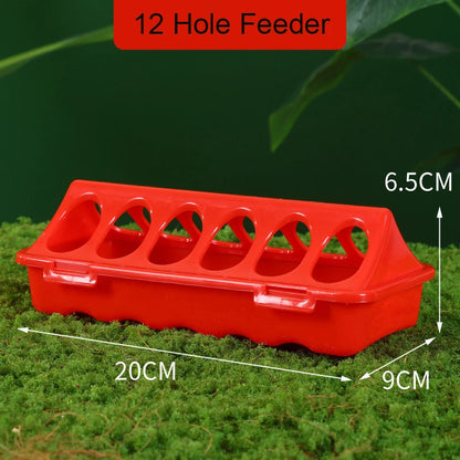 Poultry Pigeon Thickened Feeder and Water Dispense