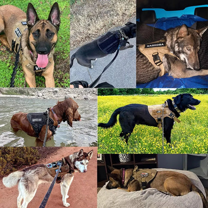 Tactical Dog Harness Collar And Leash Set