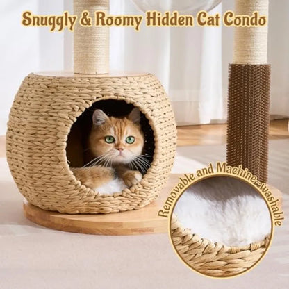 Cat Tree for Large Indoor Cats 38in H