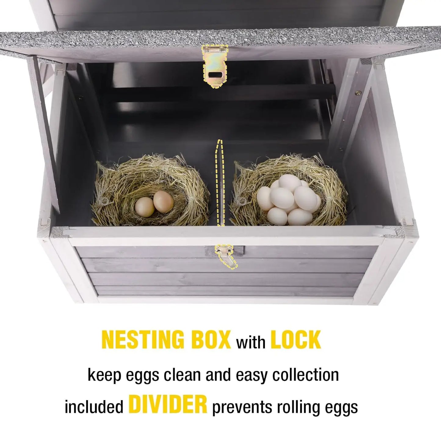 Chicken Coop for 2 Chickens/Ducks
