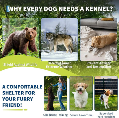 Large Dog Kennel Outdoor with Roof