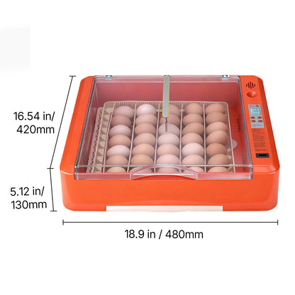Egg Incubator with LED Candler Temperature Display
