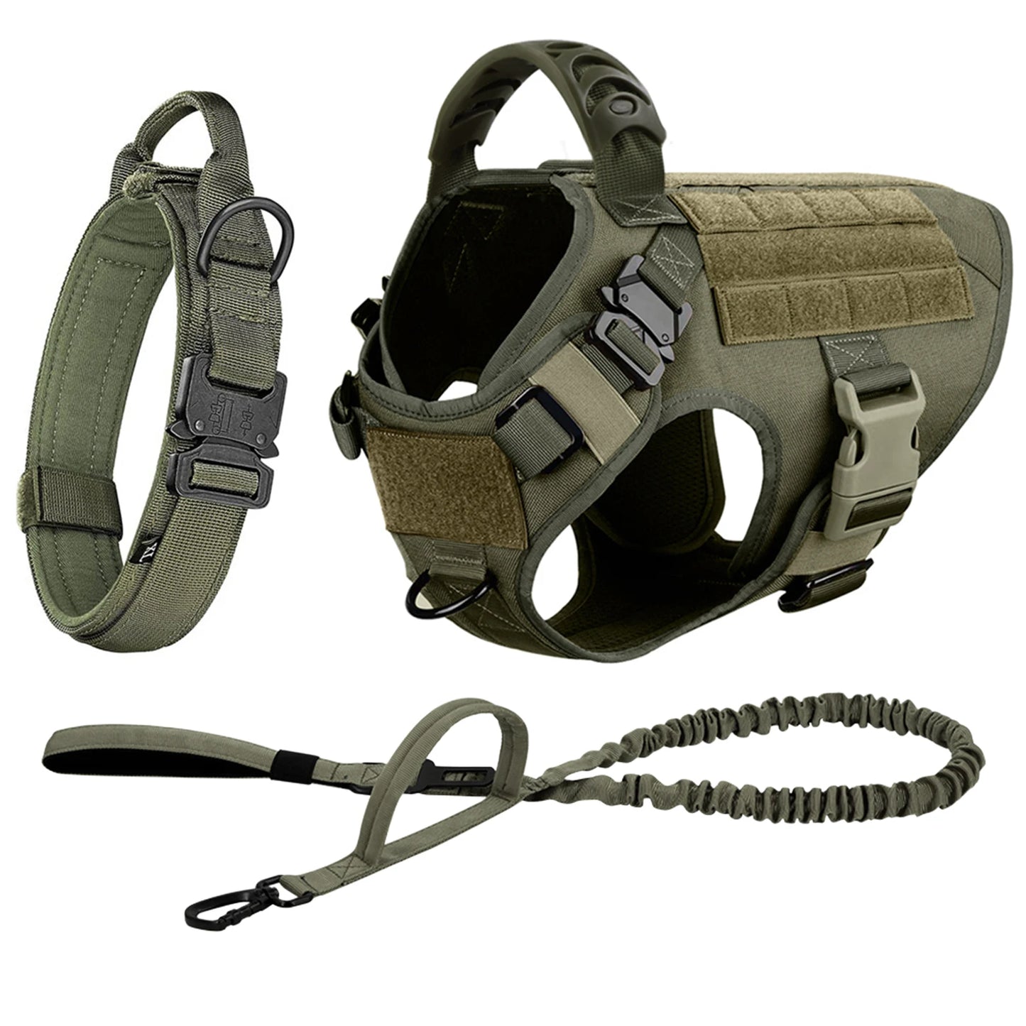 Large Dog Harness and Leash Set