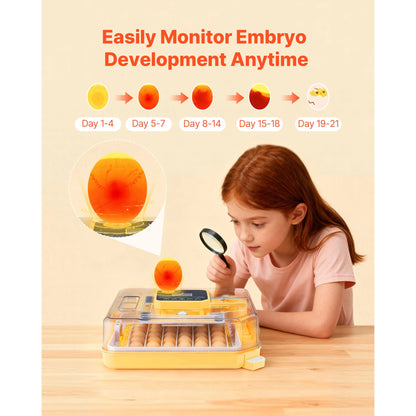 Egg Incubator with LED Candler Temperature Display