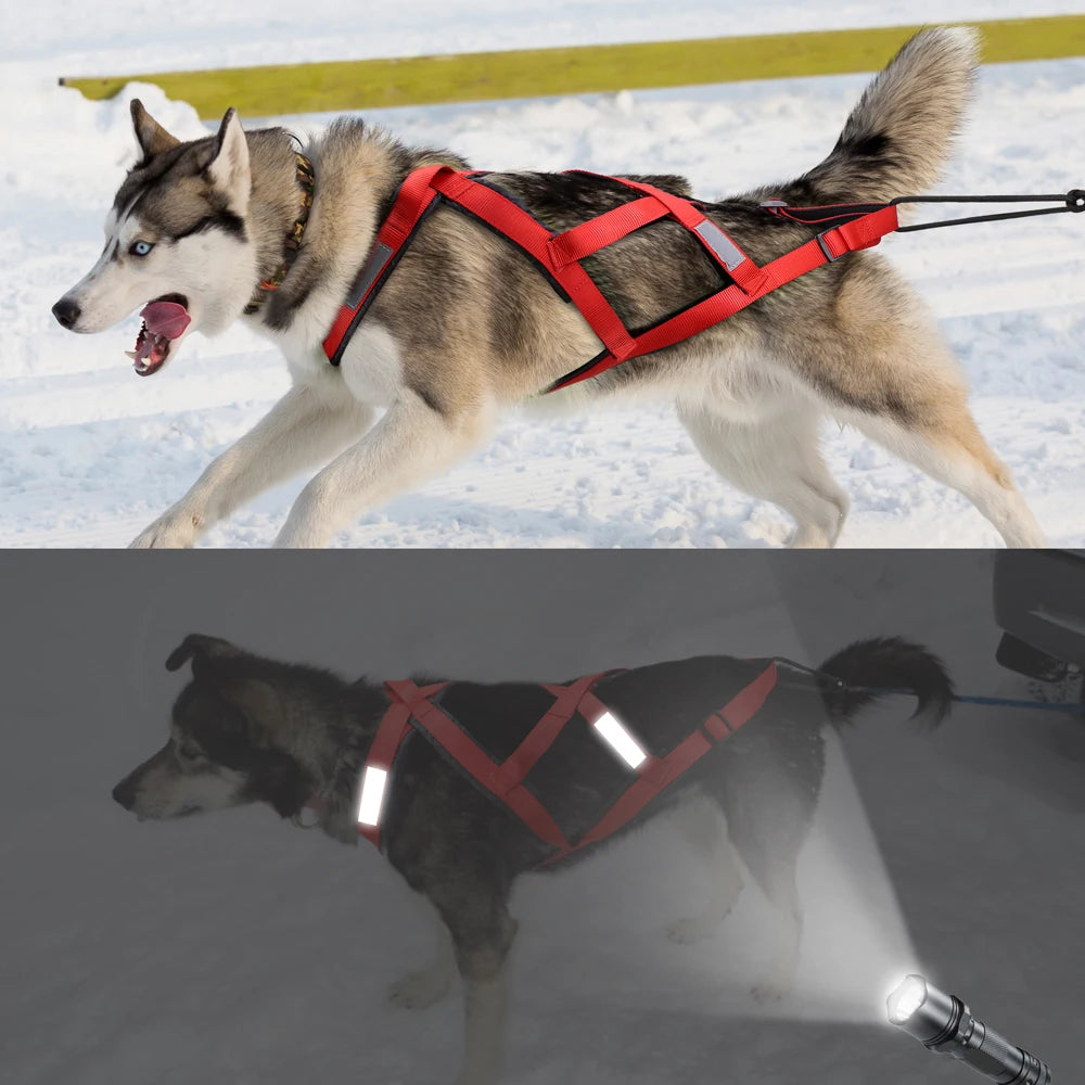 Dog Sledding Harness Reflective Weight Pulling Vest