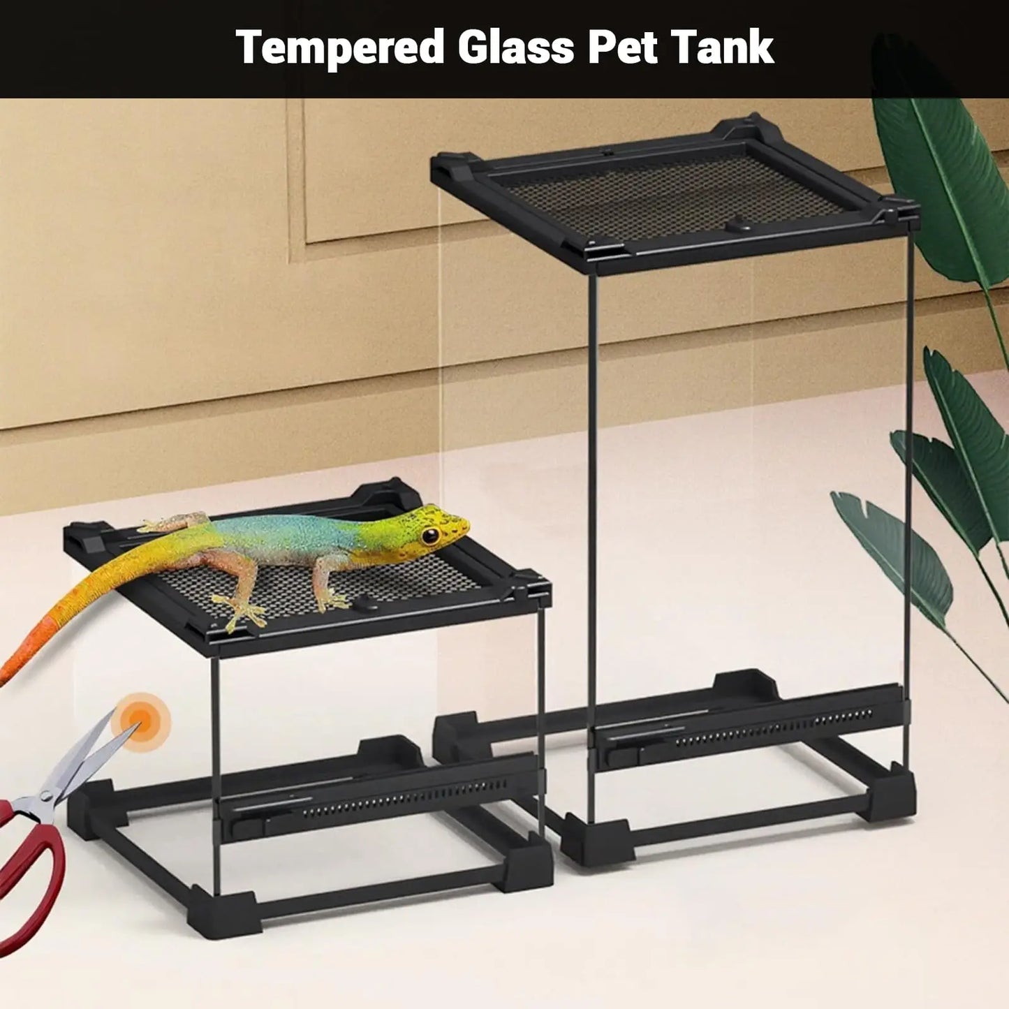 20 x 20 x 30 cm Reptile Feeding Box – Glass Terrarium