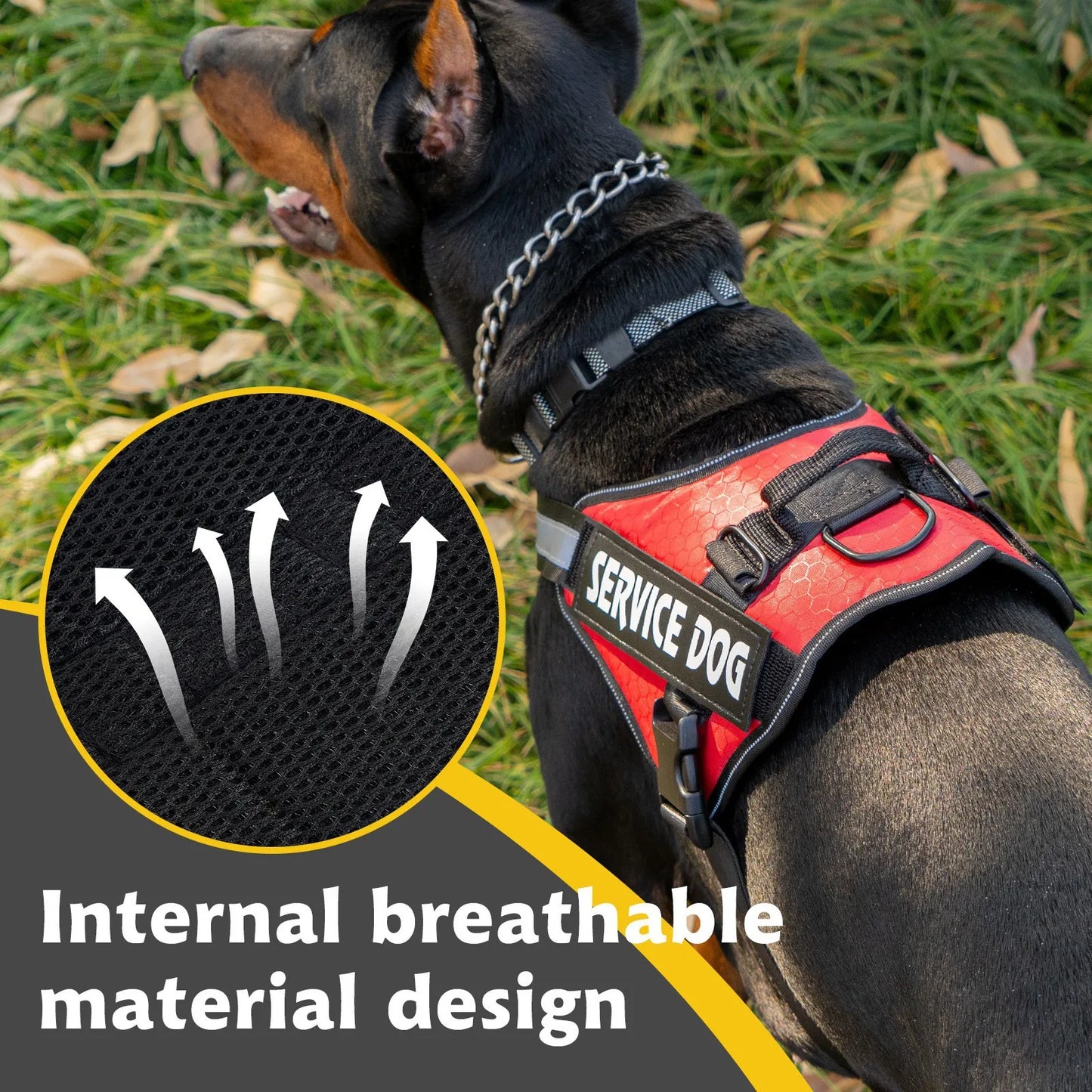 Chest Strap Dog Vest Harness Medium and Large Dog Border Collie Golden Hair Bucket Explosion proof Flushing Dog Harness