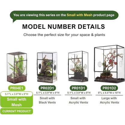 Black Glass Terrarium with Door and Mesh