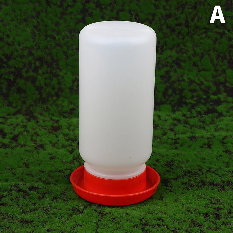 Poultry Pigeon Thickened Feeder and Water Dispense