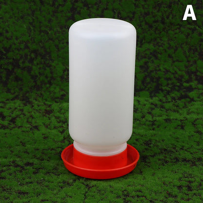 Poultry Pigeon Thickened Feeder and Water Dispense