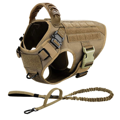 Large Dog Harness and Leash Set