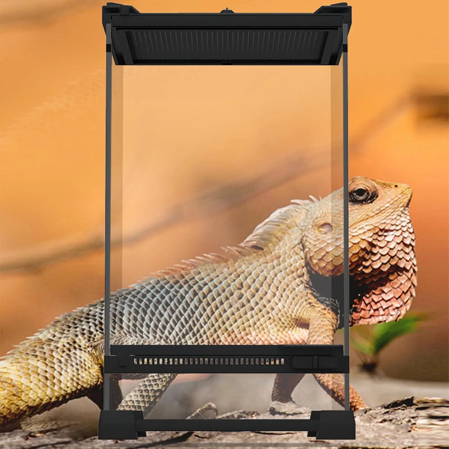 20 x 20 x 30 cm Reptile Feeding Box – Glass Terrarium