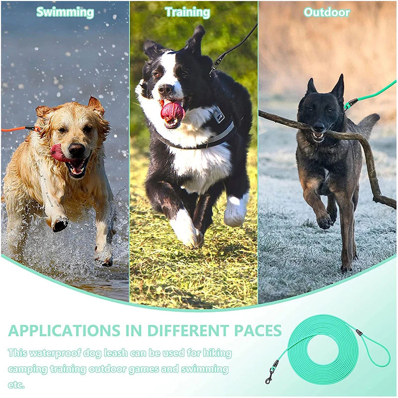Dog Leash Waterproof Training Recall 5FT 10 FT 20FT 30FT