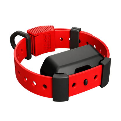 Training Collar Setup