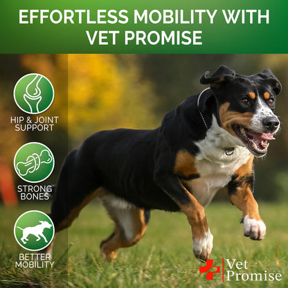 Hemp Hip & Joint Supplement for Dogs Glucosamine 120 Chews