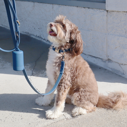 Waterproof Dog Leash | Navy