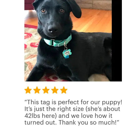 Personalized Dog Tag - Dog Id Tag - Personalized Bone Dog Tag - Custom Pet Id Tag