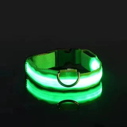 LED Dog Collar | Nylon Light-Up Safety Collar with Reflective Glow and 3 Flashing Modes