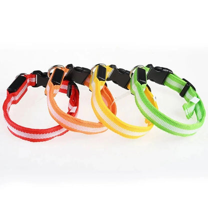 LED Dog Collar | Nylon Light-Up Safety Collar with Reflective Glow and 3 Flashing Modes