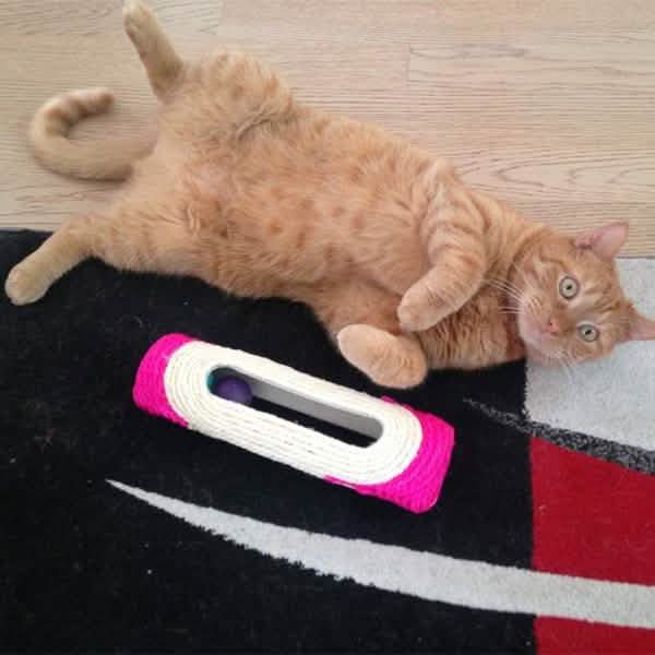 Pet Cat Rolling Sisal Scratching Post Trapped With 3 Ball Training Novely Toy